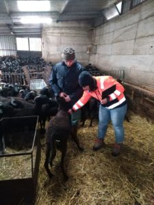 Agrotecnici al lavoro